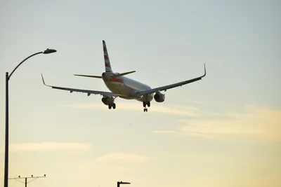 DSC_5721 (Large).JPG